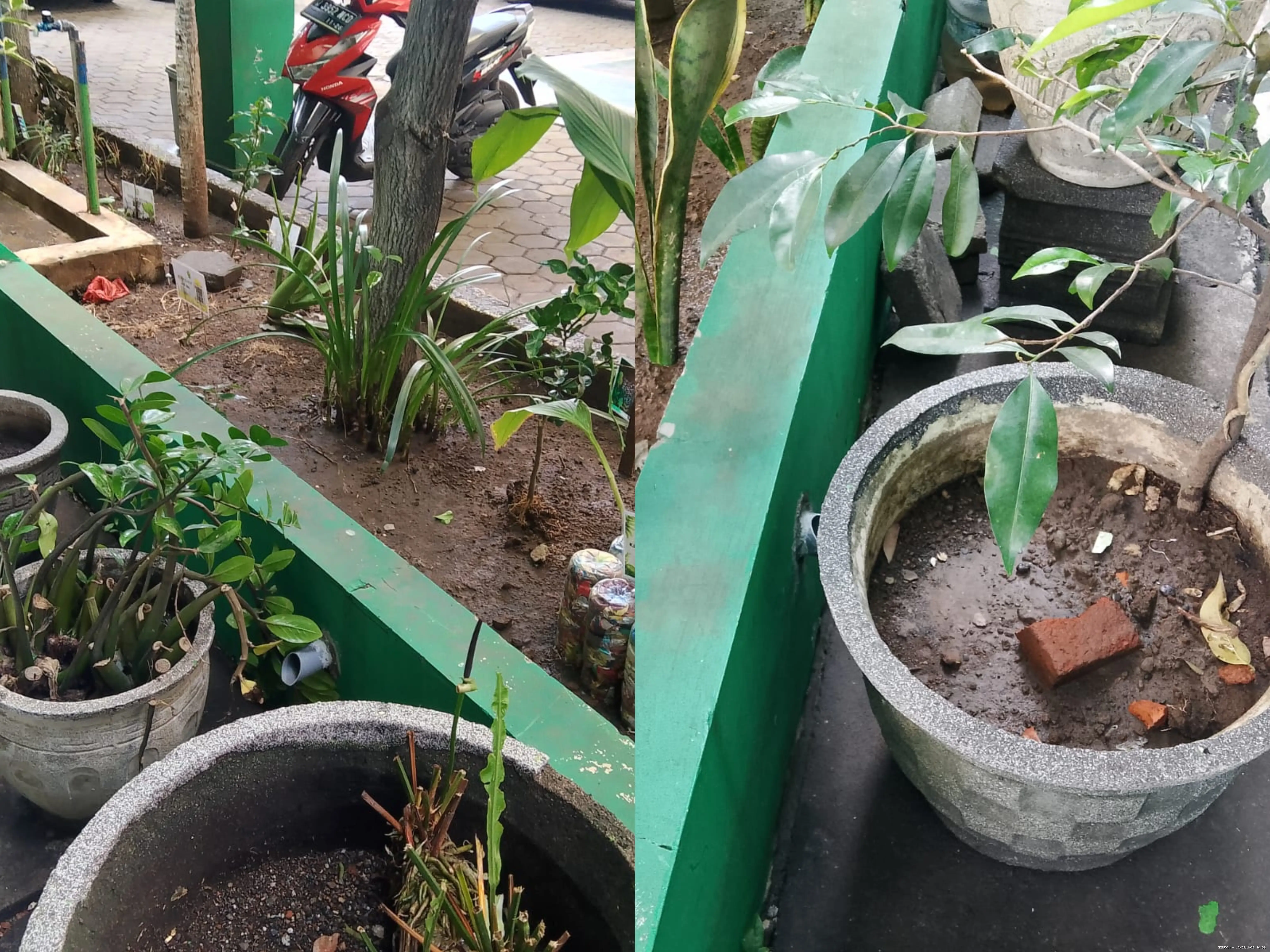 Hasil