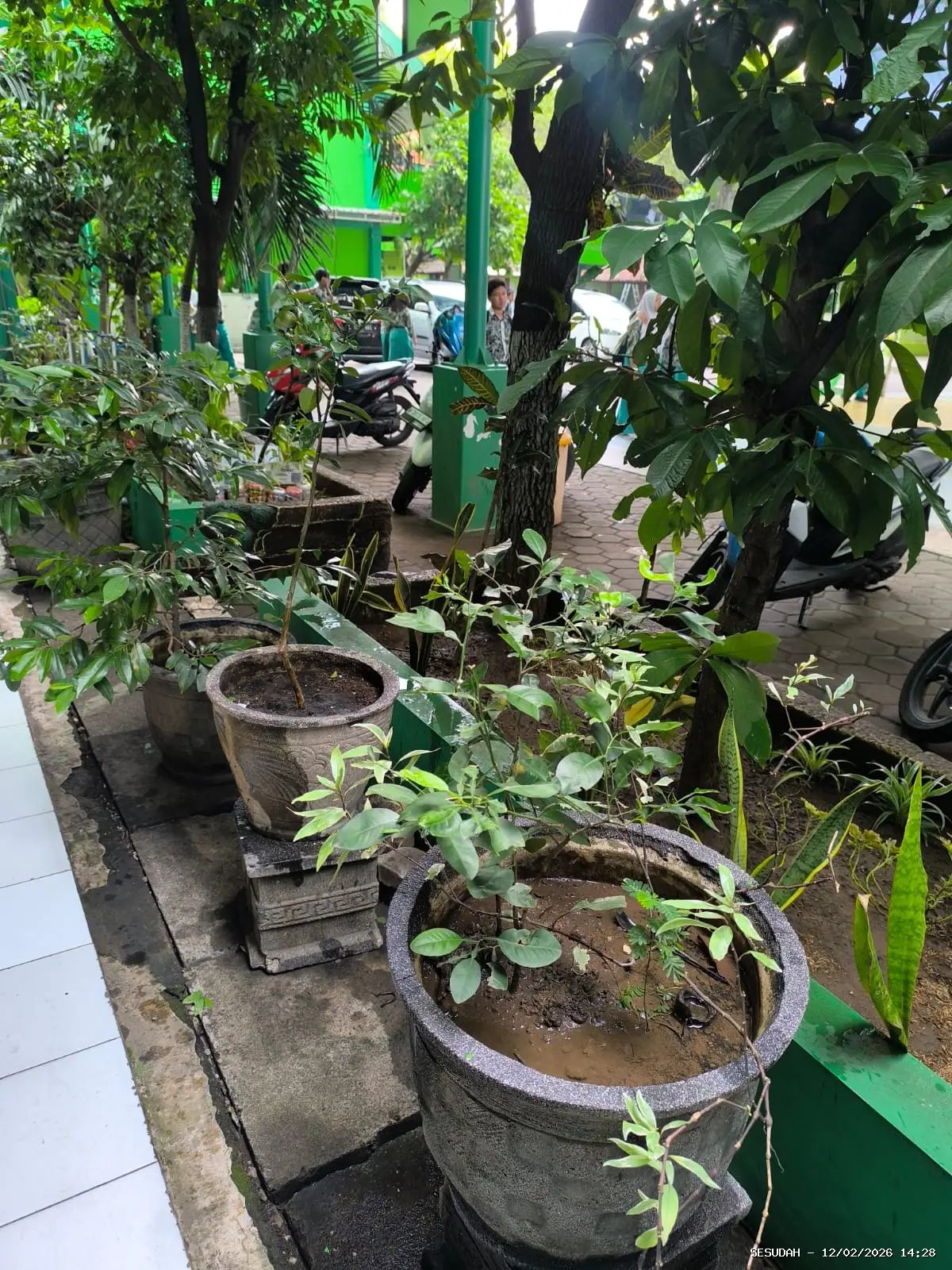 Hasil