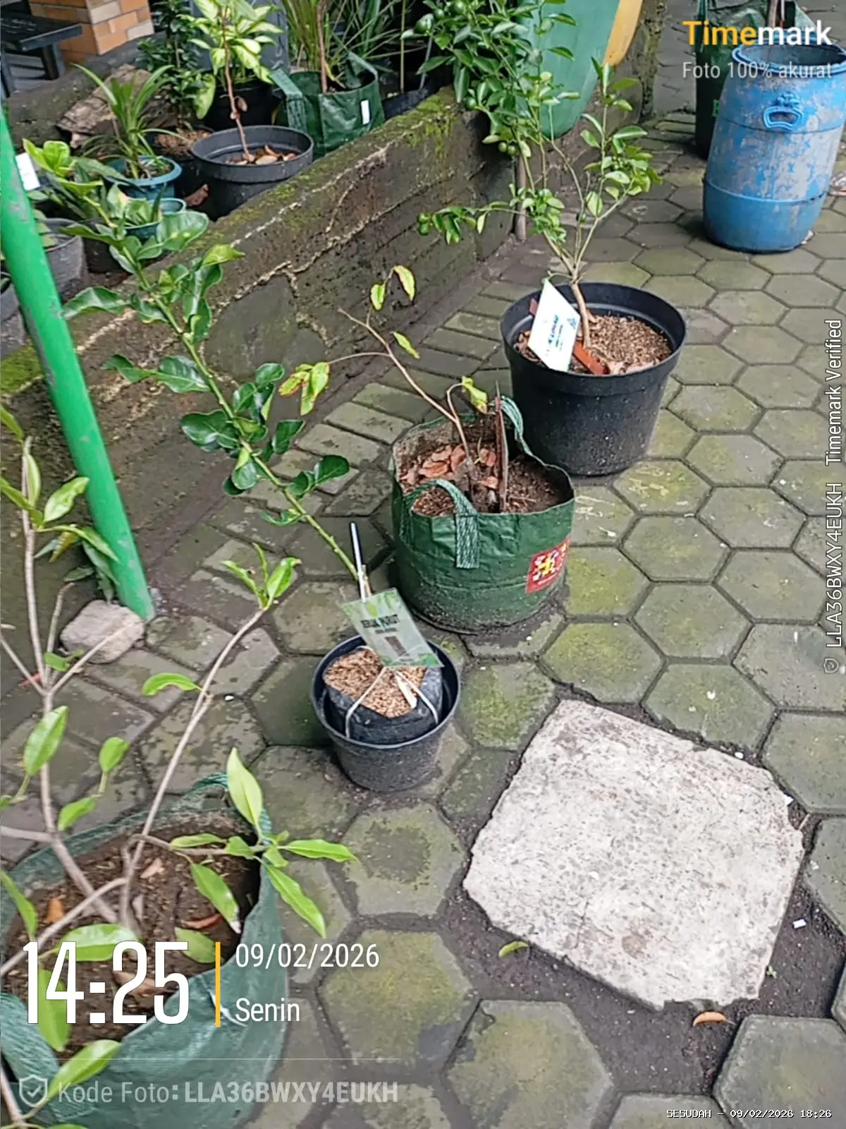 Hasil
