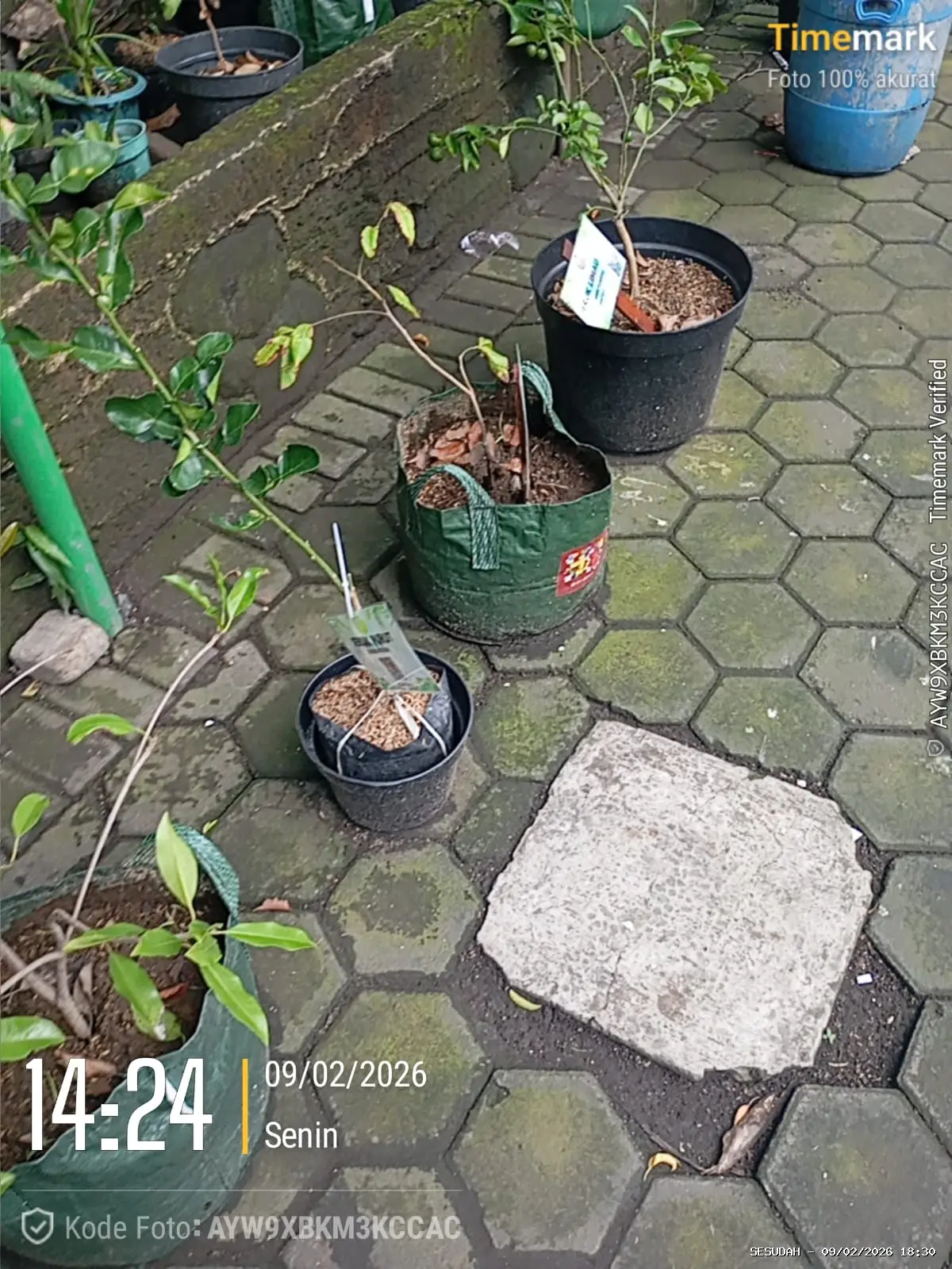 Hasil