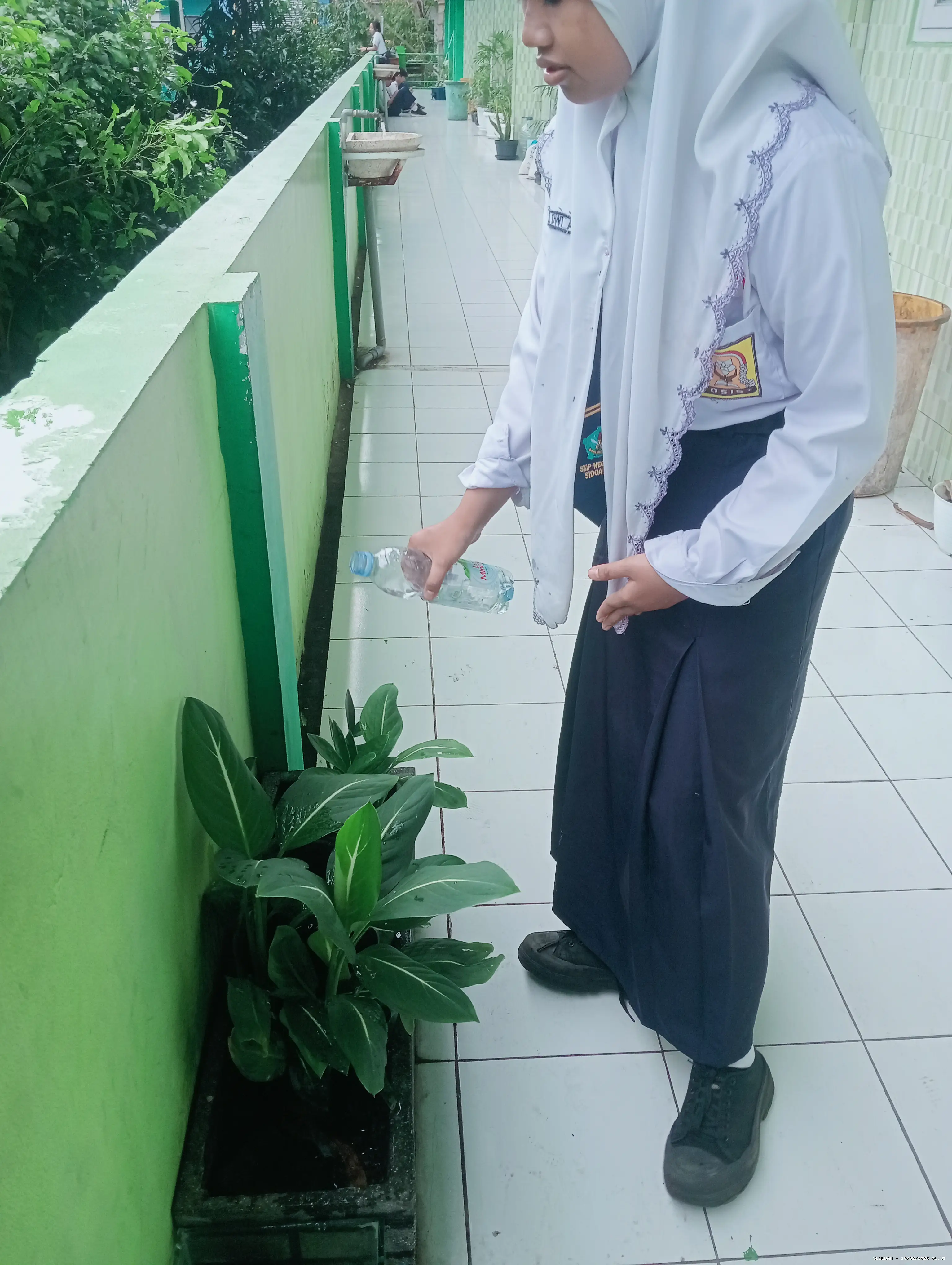 Hasil