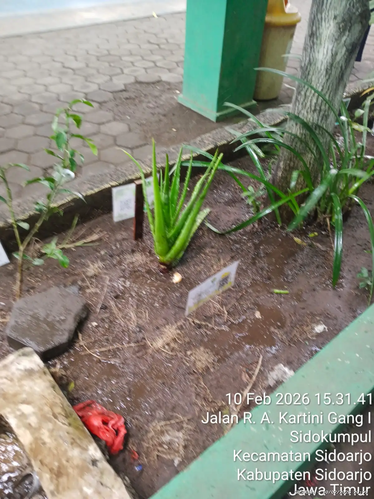Hasil