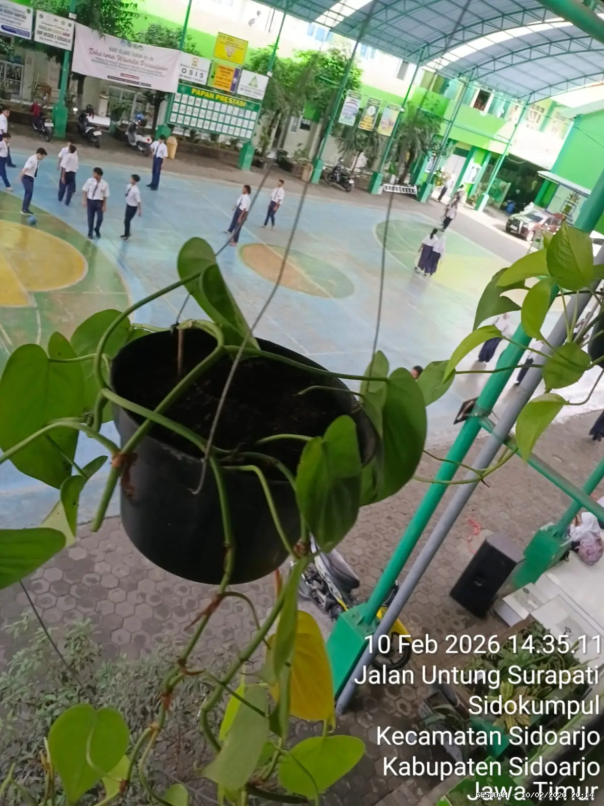 Hasil