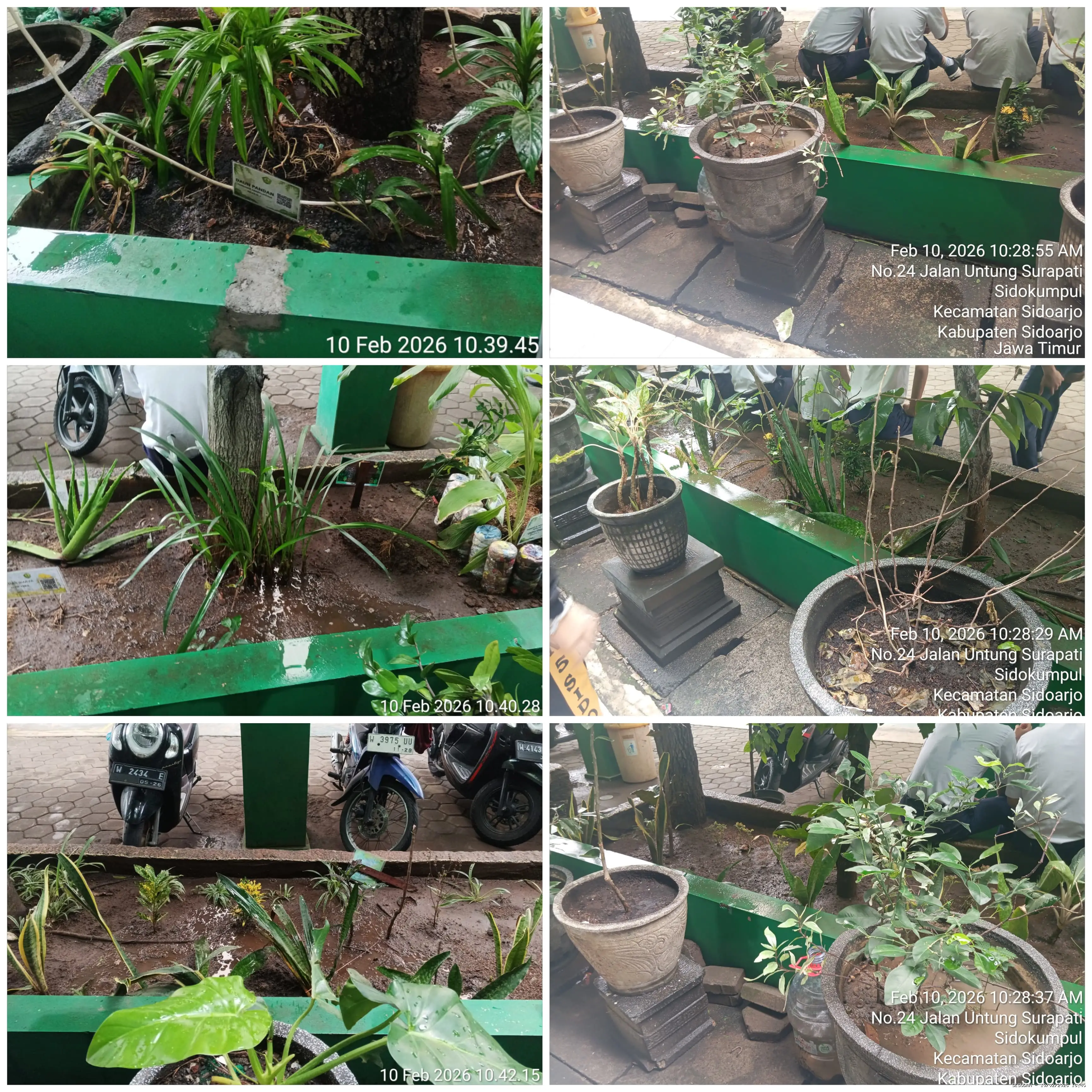 Hasil