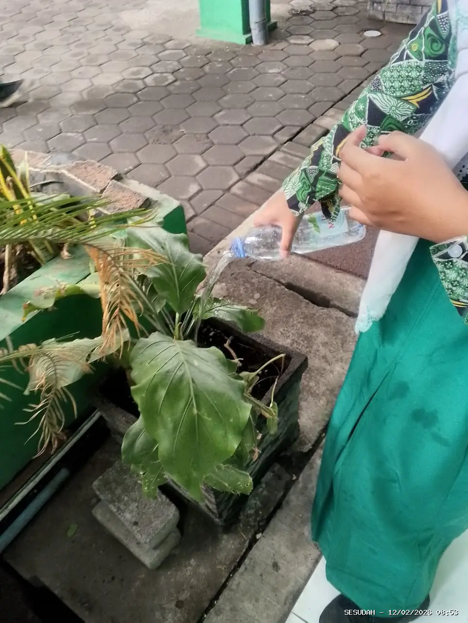 Hasil