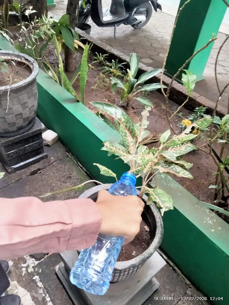 Hasil