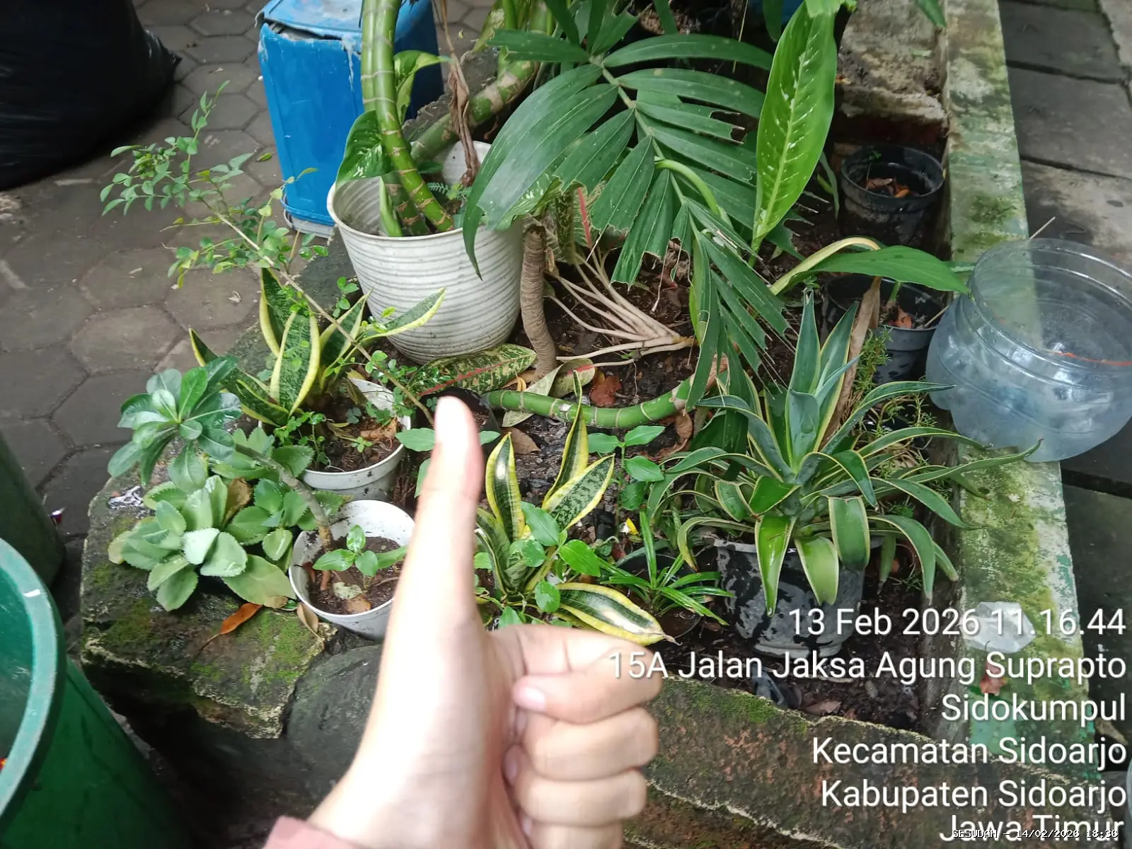 Hasil