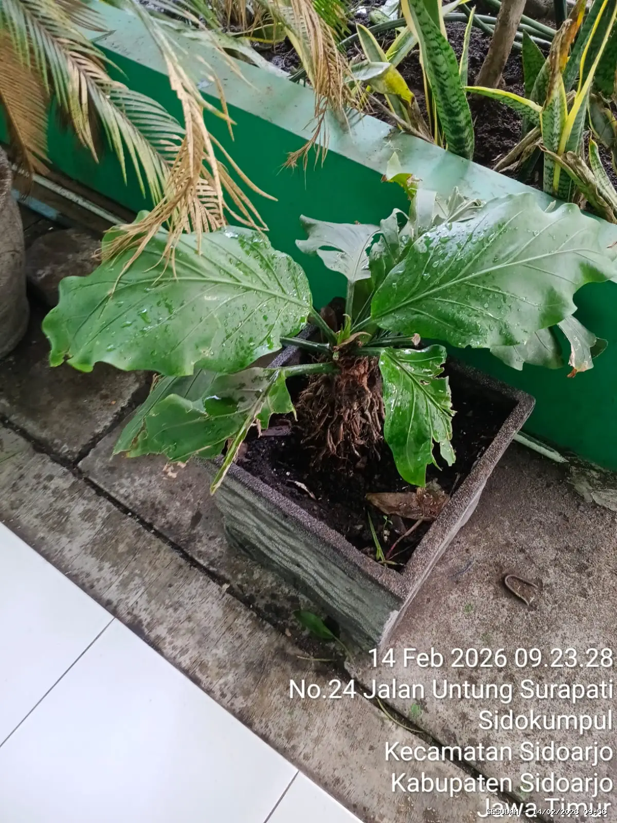 Hasil