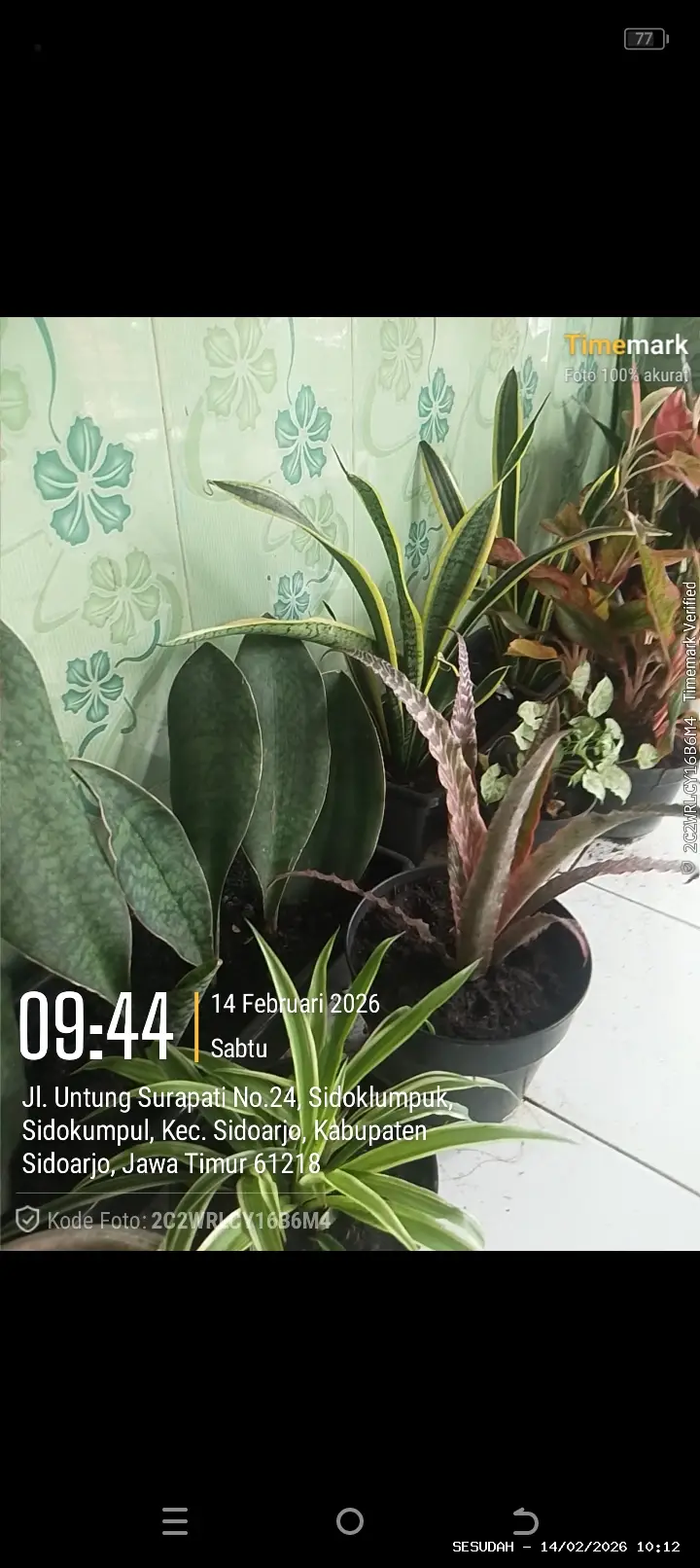 Hasil