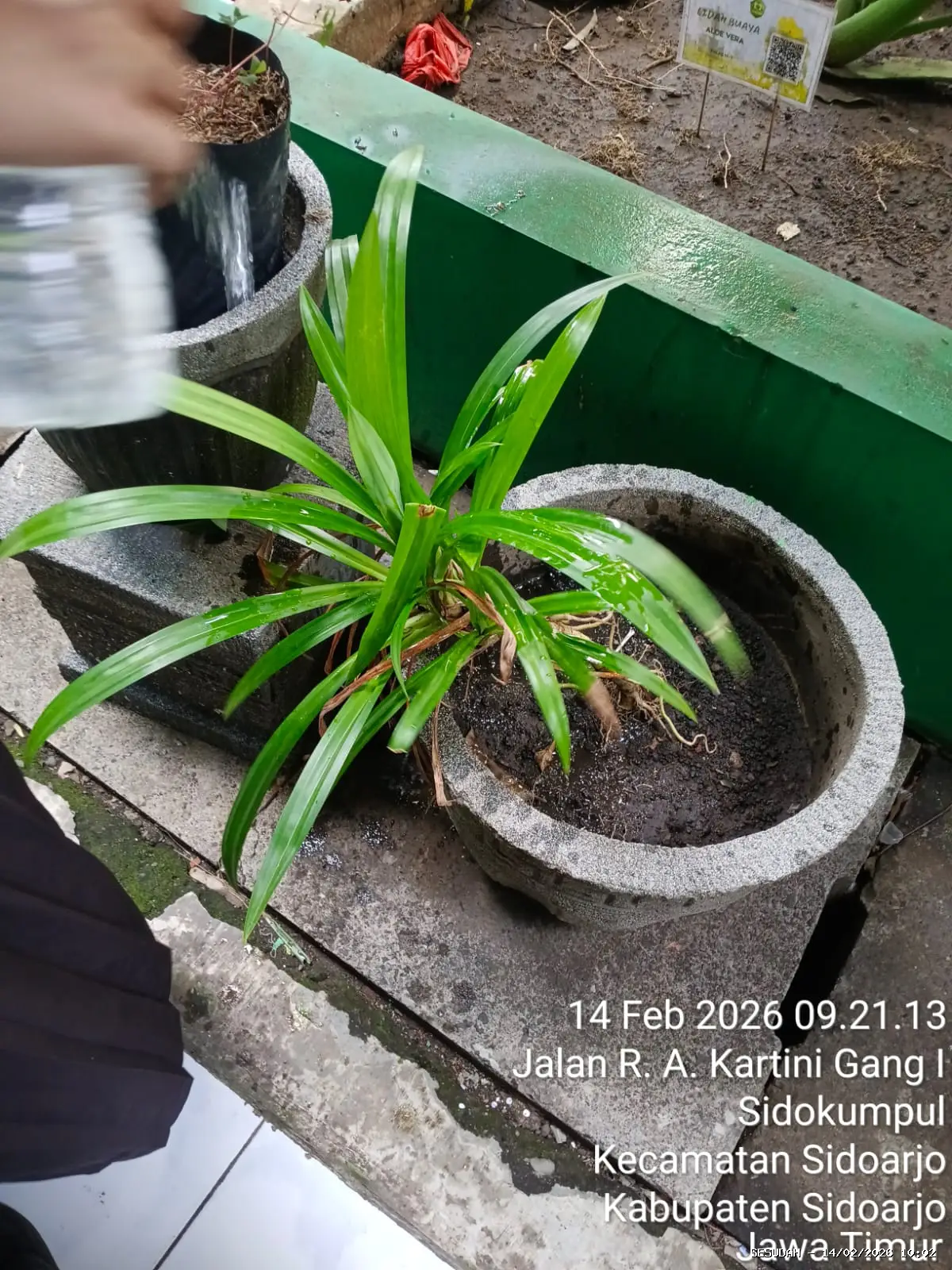 Hasil