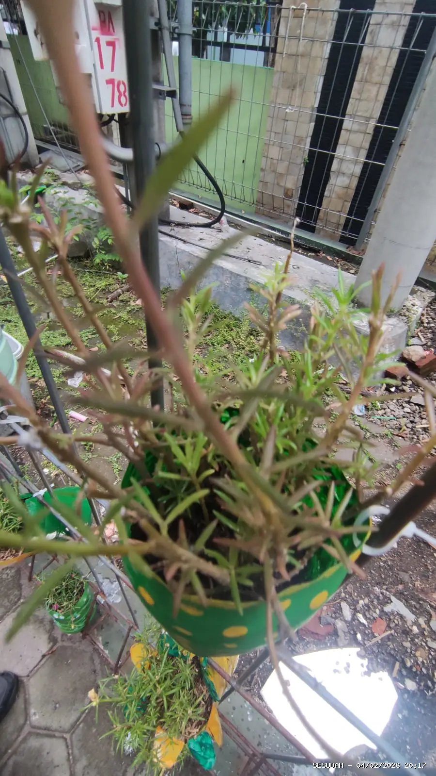 Hasil